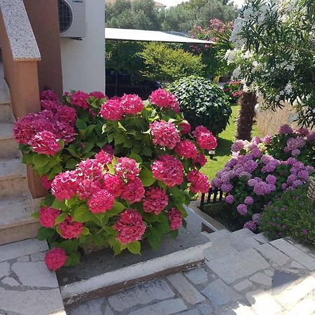 Apartments Mira Krk Krk Town Εξωτερικό φωτογραφία