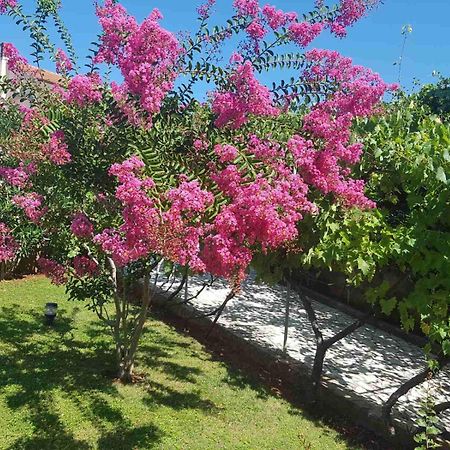 Apartments Mira Krk Krk Town Εξωτερικό φωτογραφία
