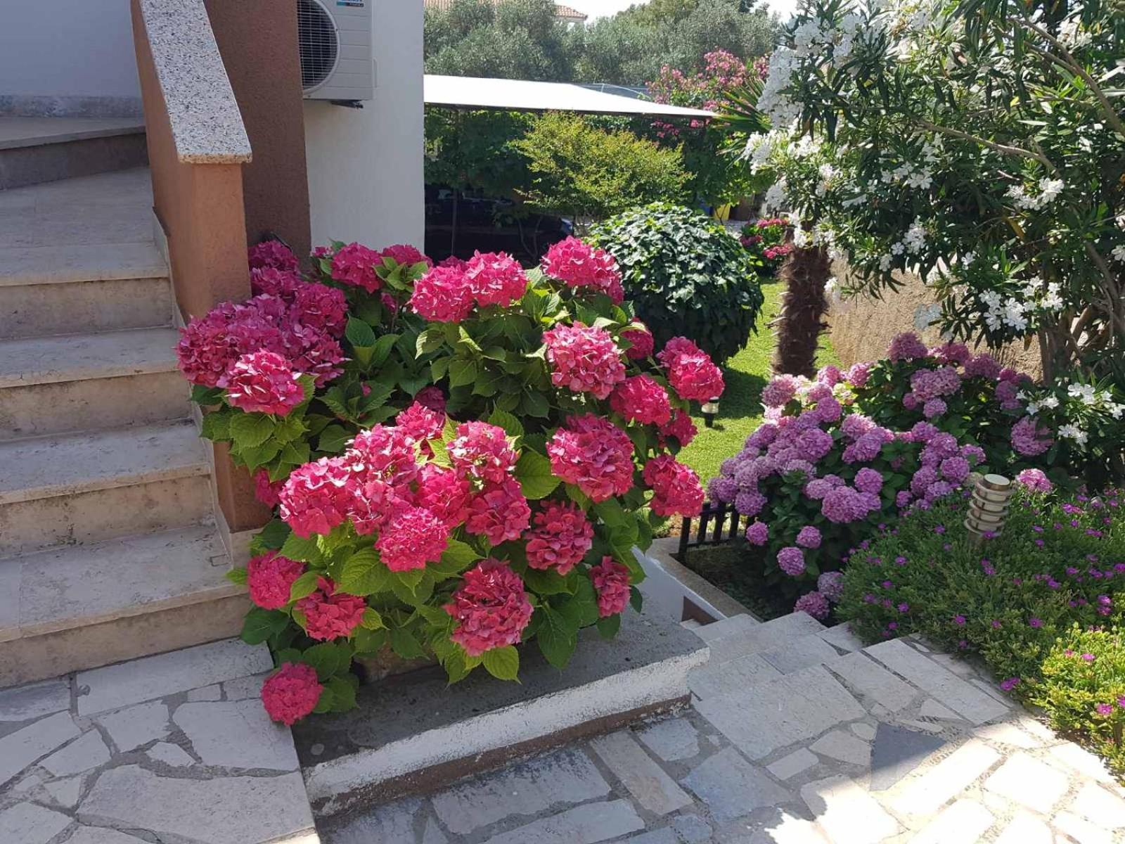 Apartments Mira Krk Krk Town Εξωτερικό φωτογραφία