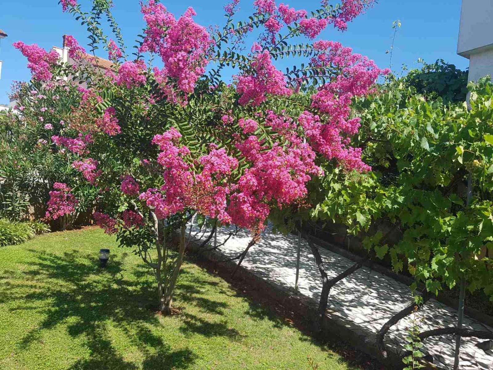Apartments Mira Krk Krk Town Εξωτερικό φωτογραφία